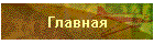 Главная